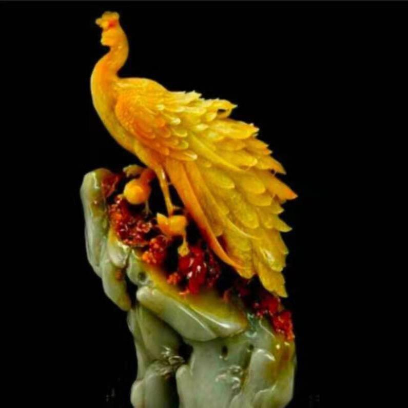 金碧凤凰，（不定时开播）