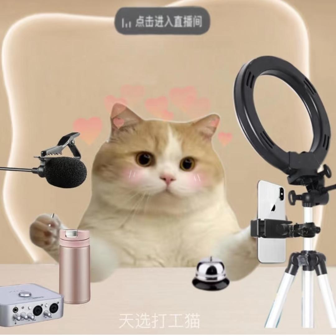 软软