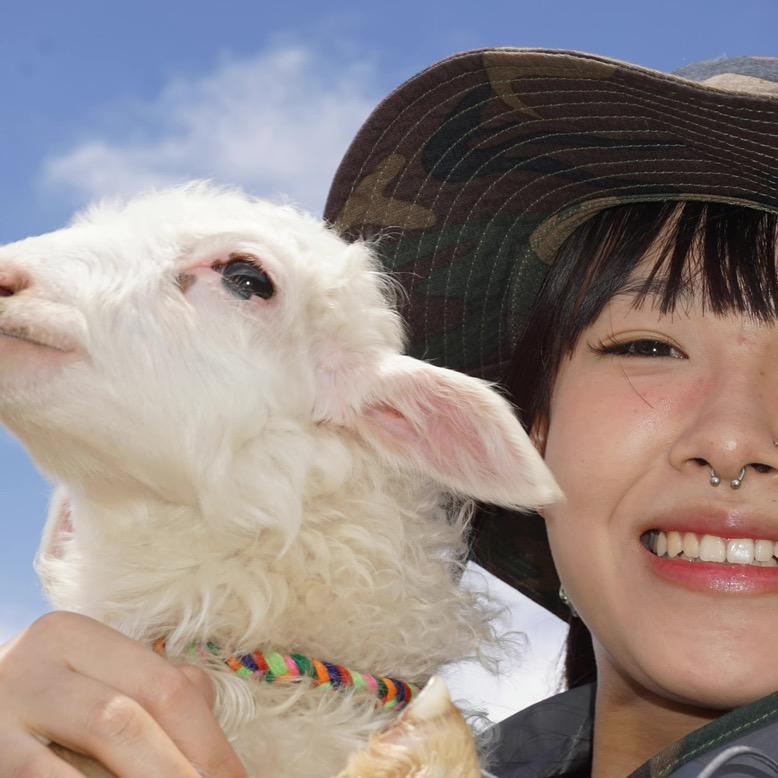 小予（认真卖鞋版）