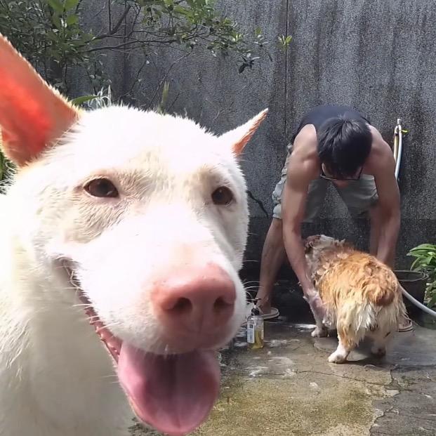 就叫老七吧