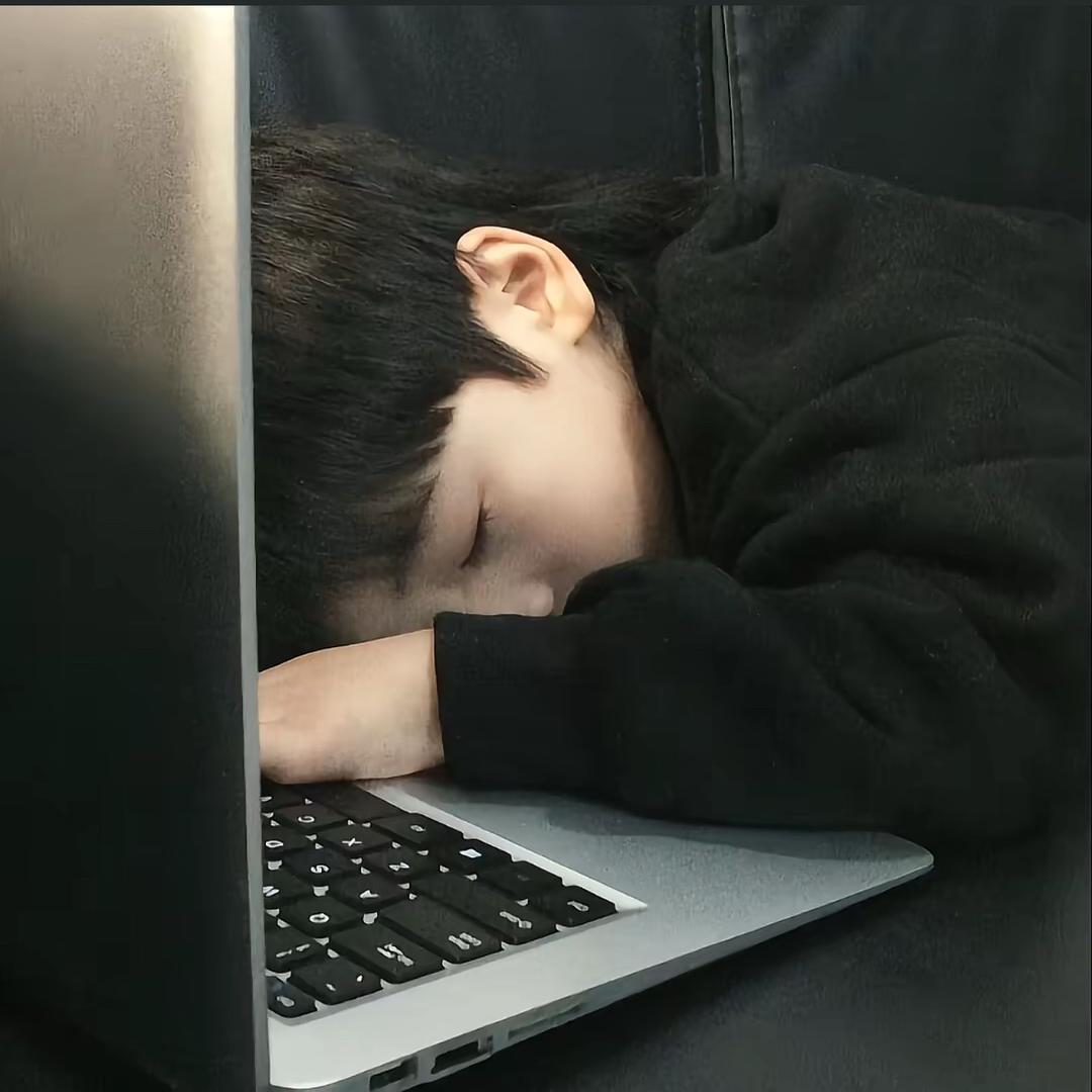 倒头就💤