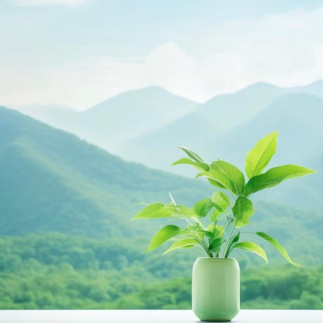 apple木木木木木