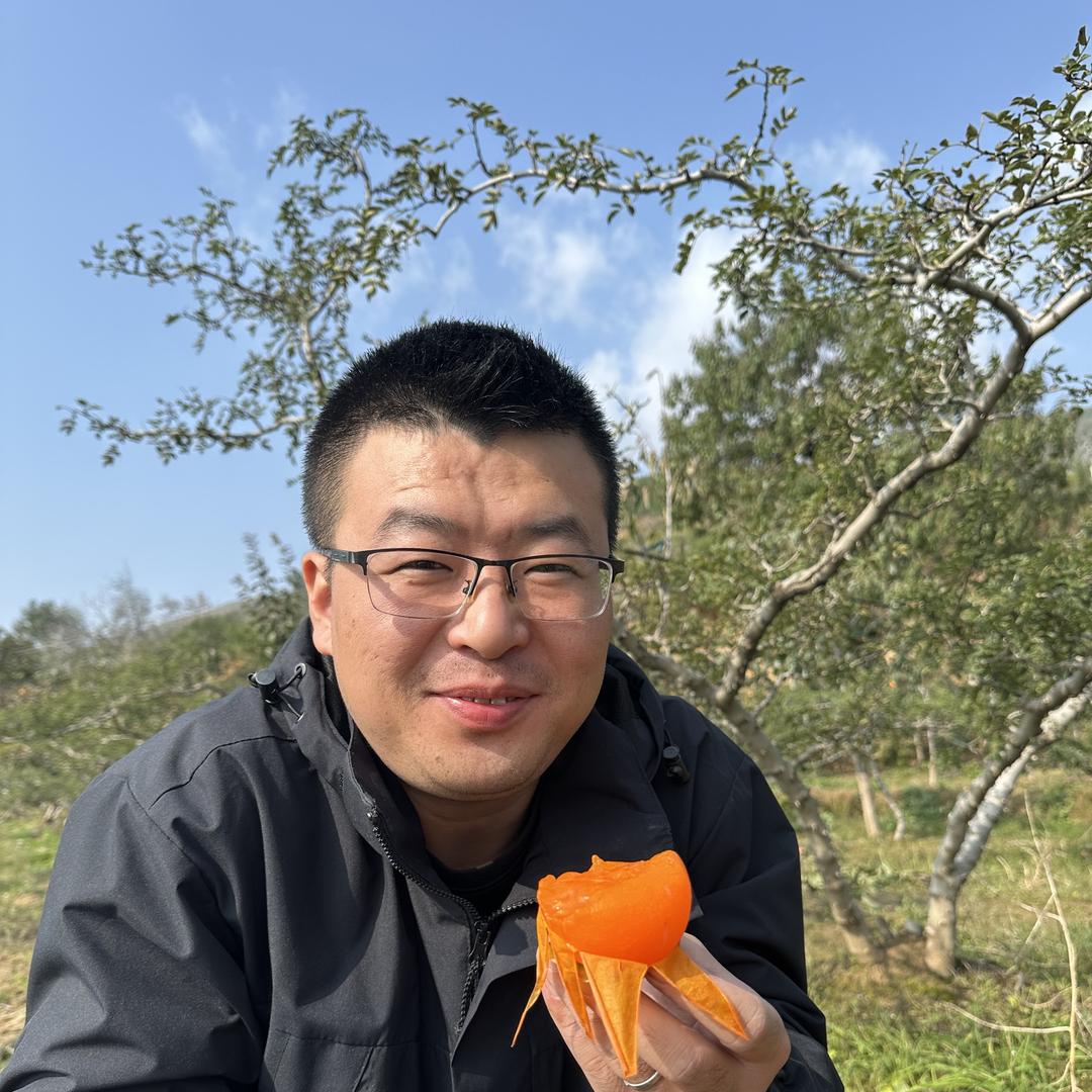 富平话柿人农产品优选