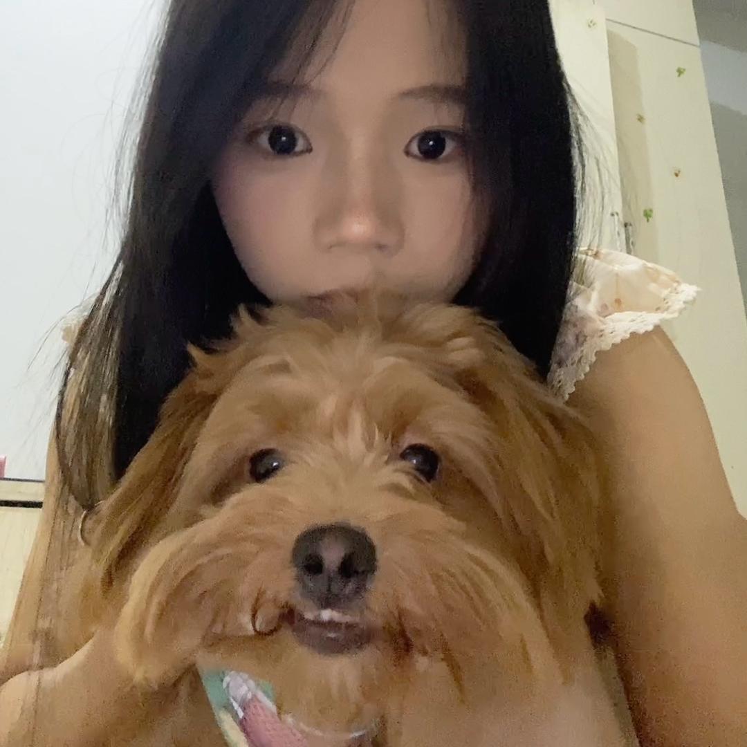 小斗日记