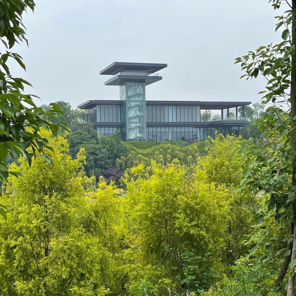 终将逝去的青春