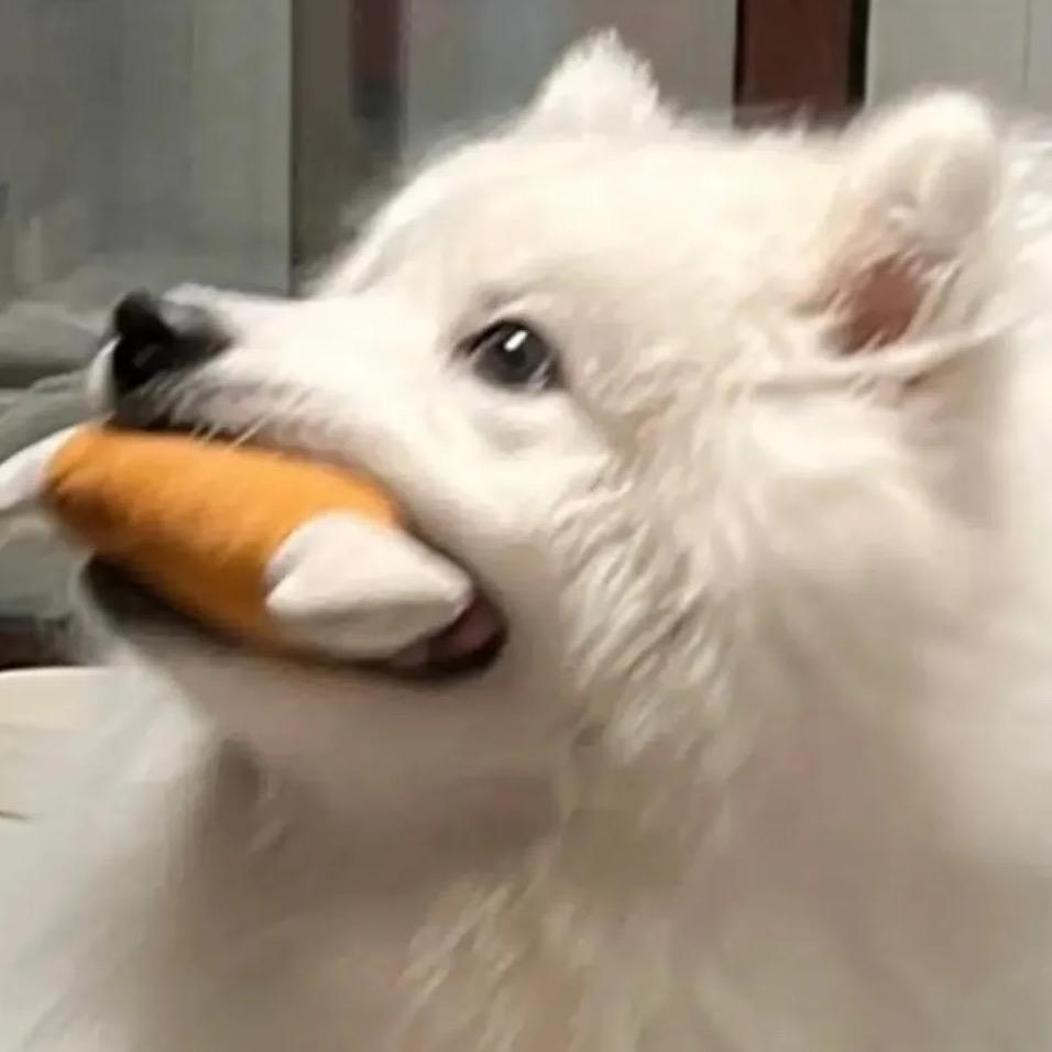 林.