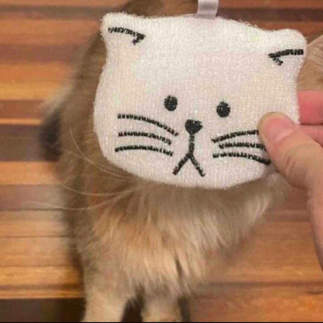 确实萌