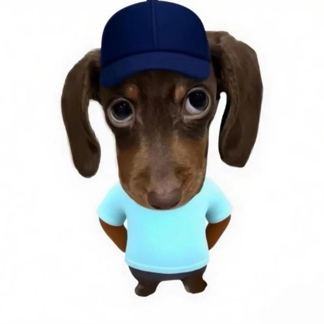 给我来碗清汤面