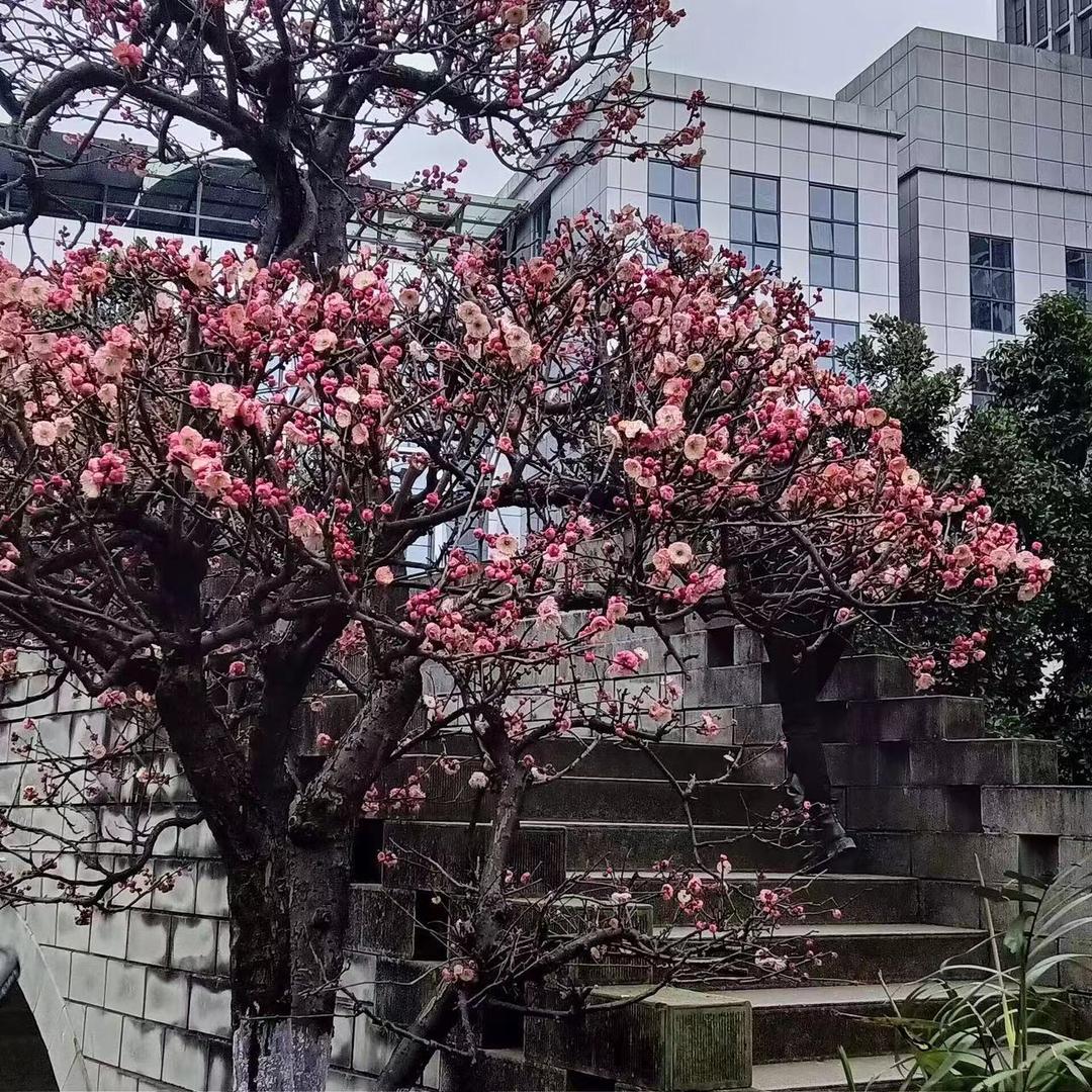 天天开心