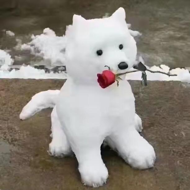 无❤️心❤️