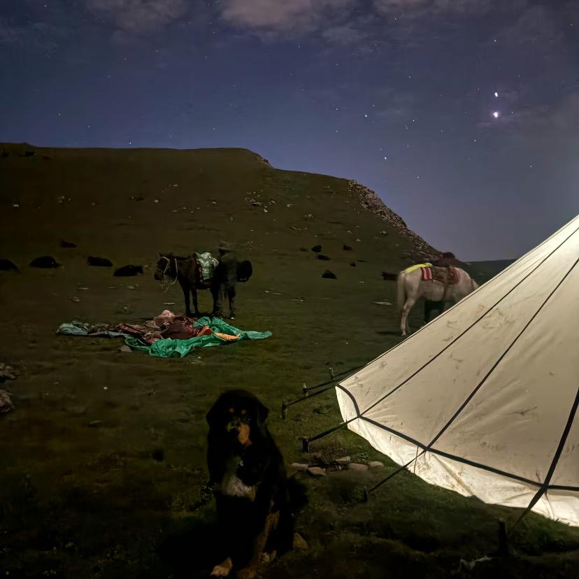 ࿐བོན黑笔卍