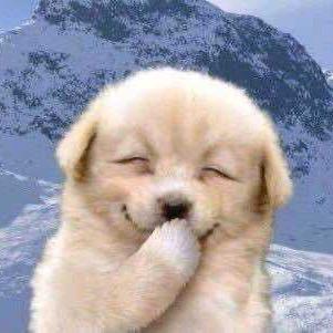 是我的憨憨呀•͈ᴗ•