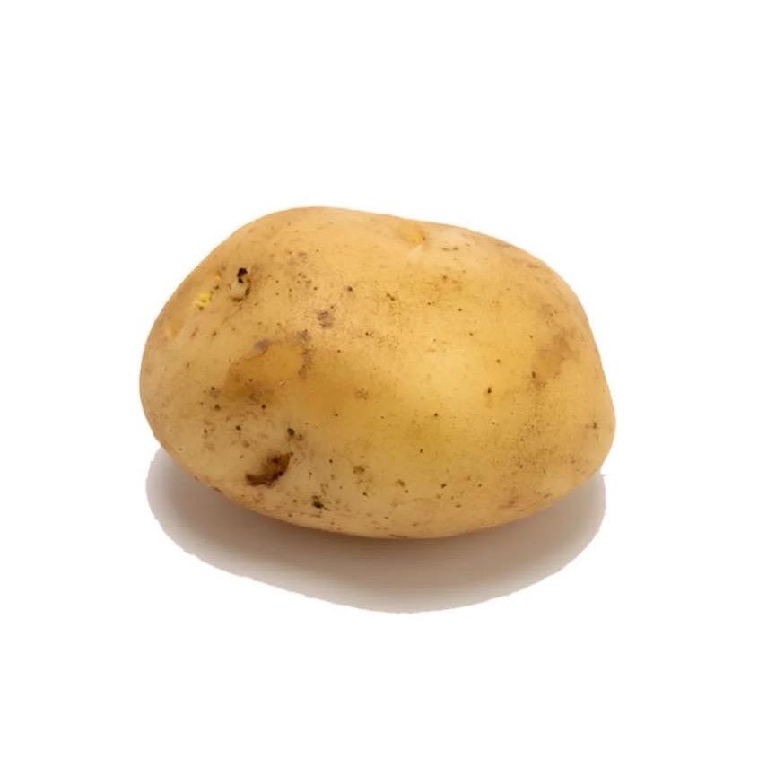 智慧的土豆小姐