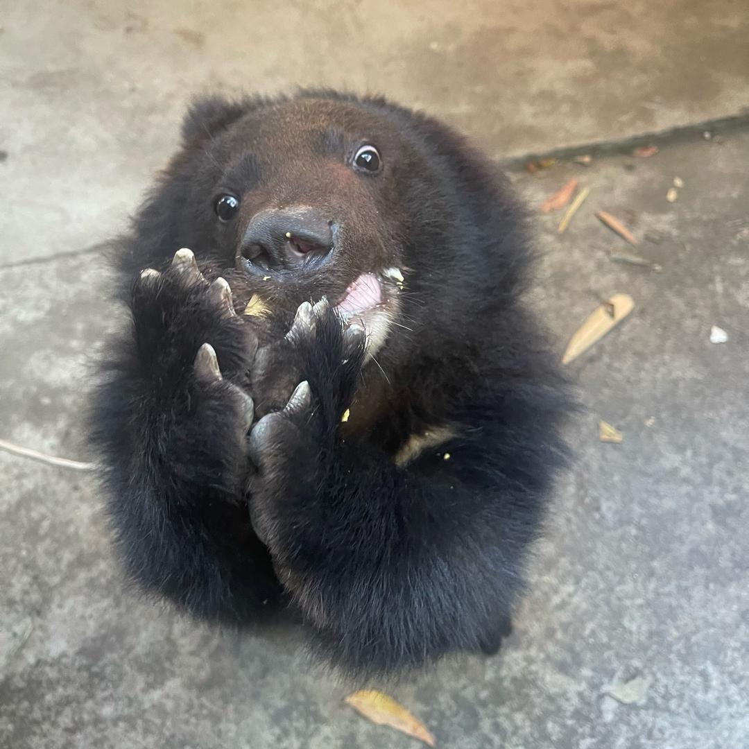 天下