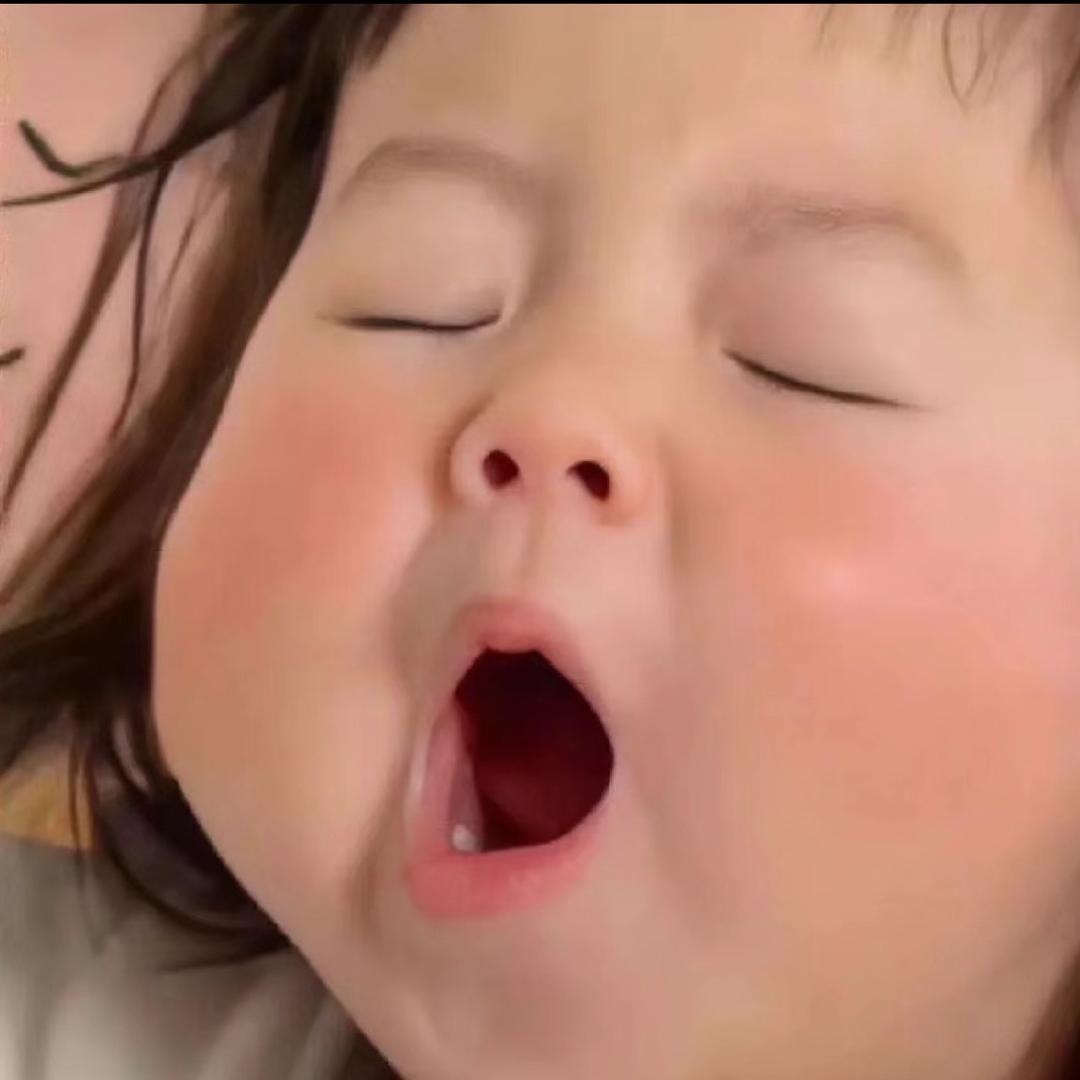 燕宝【推荐达人】