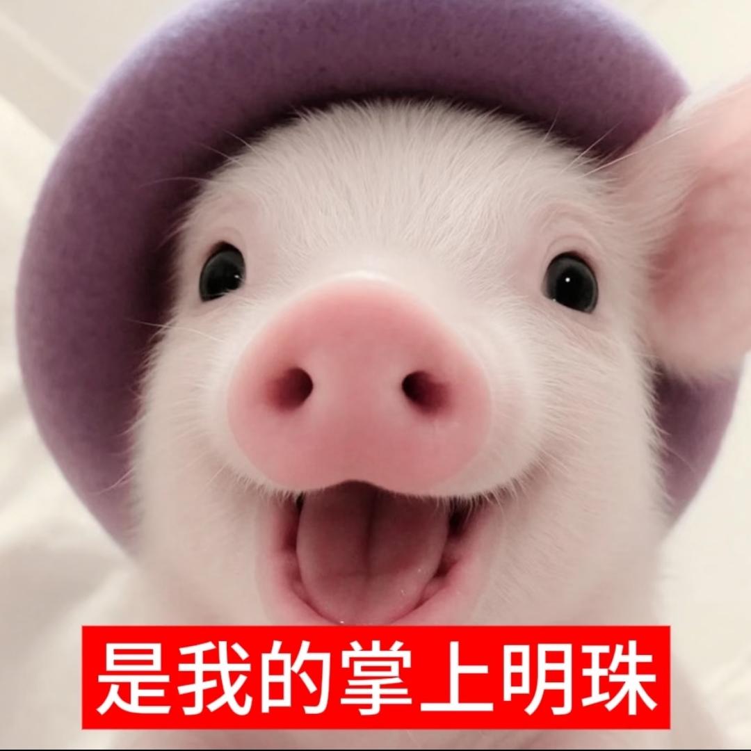 椿.