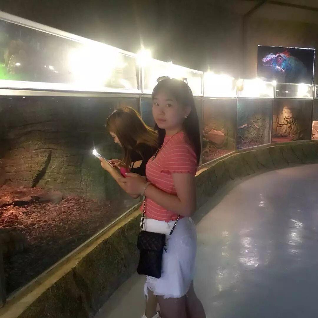 燕子传媒