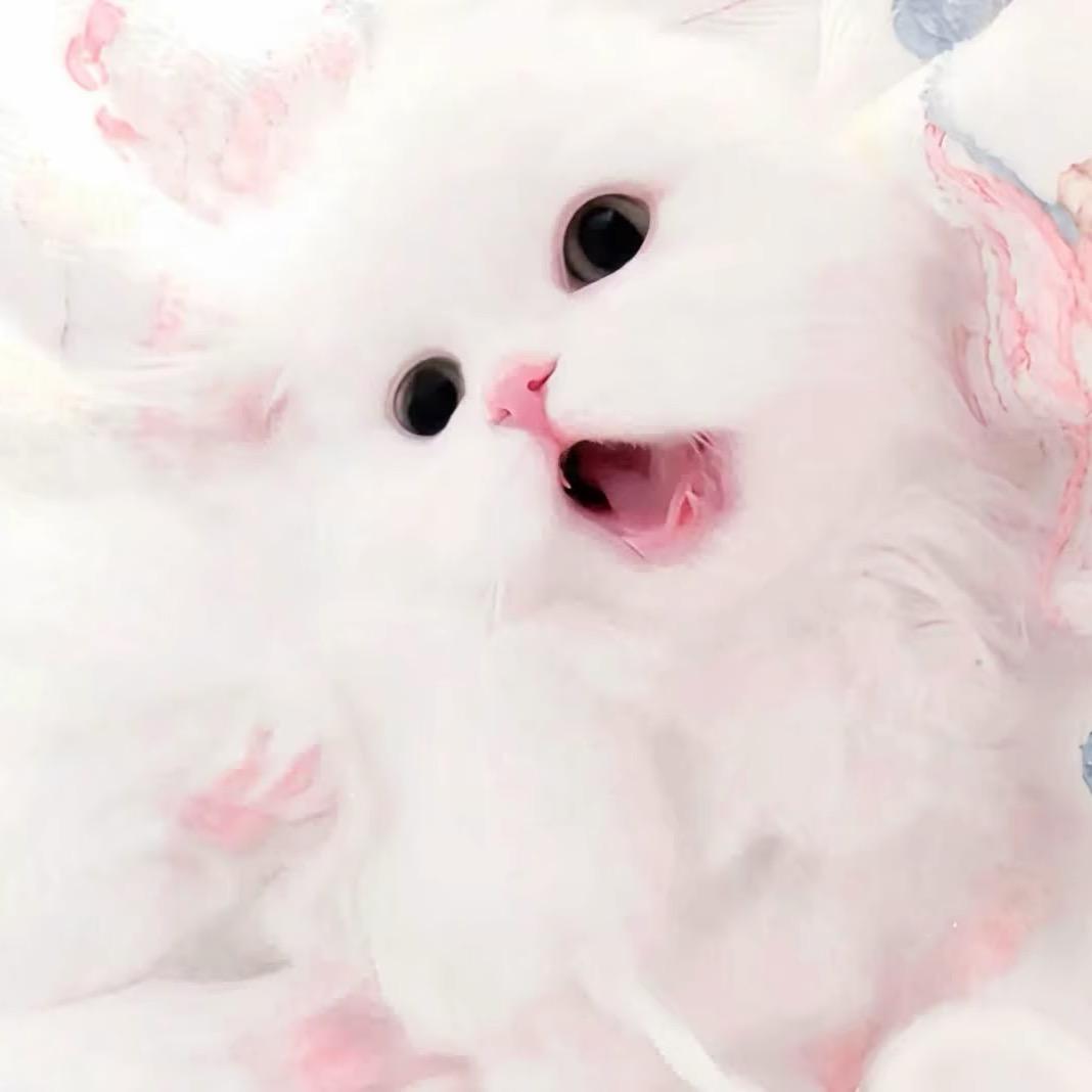 北冰洋