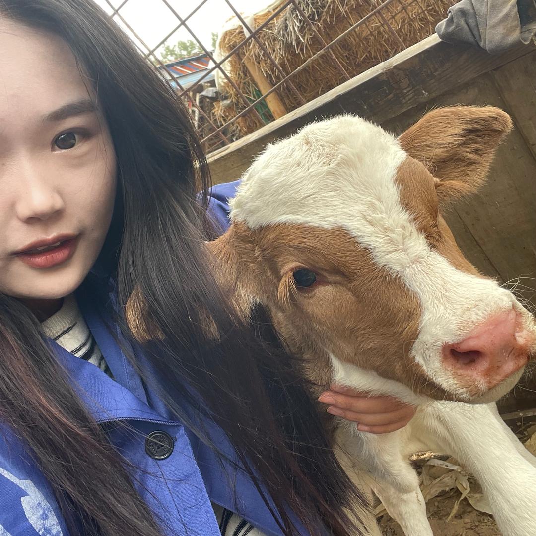 养牛妹🐮小叶