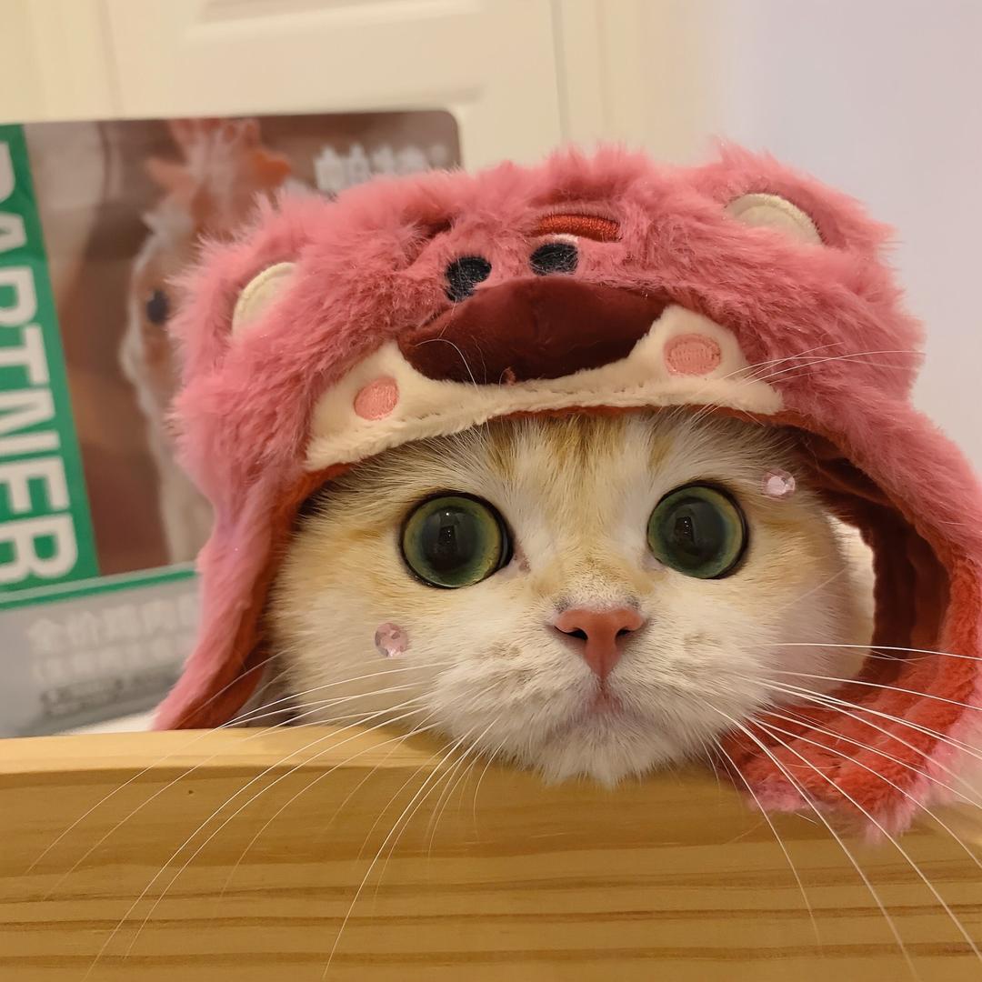 知俞