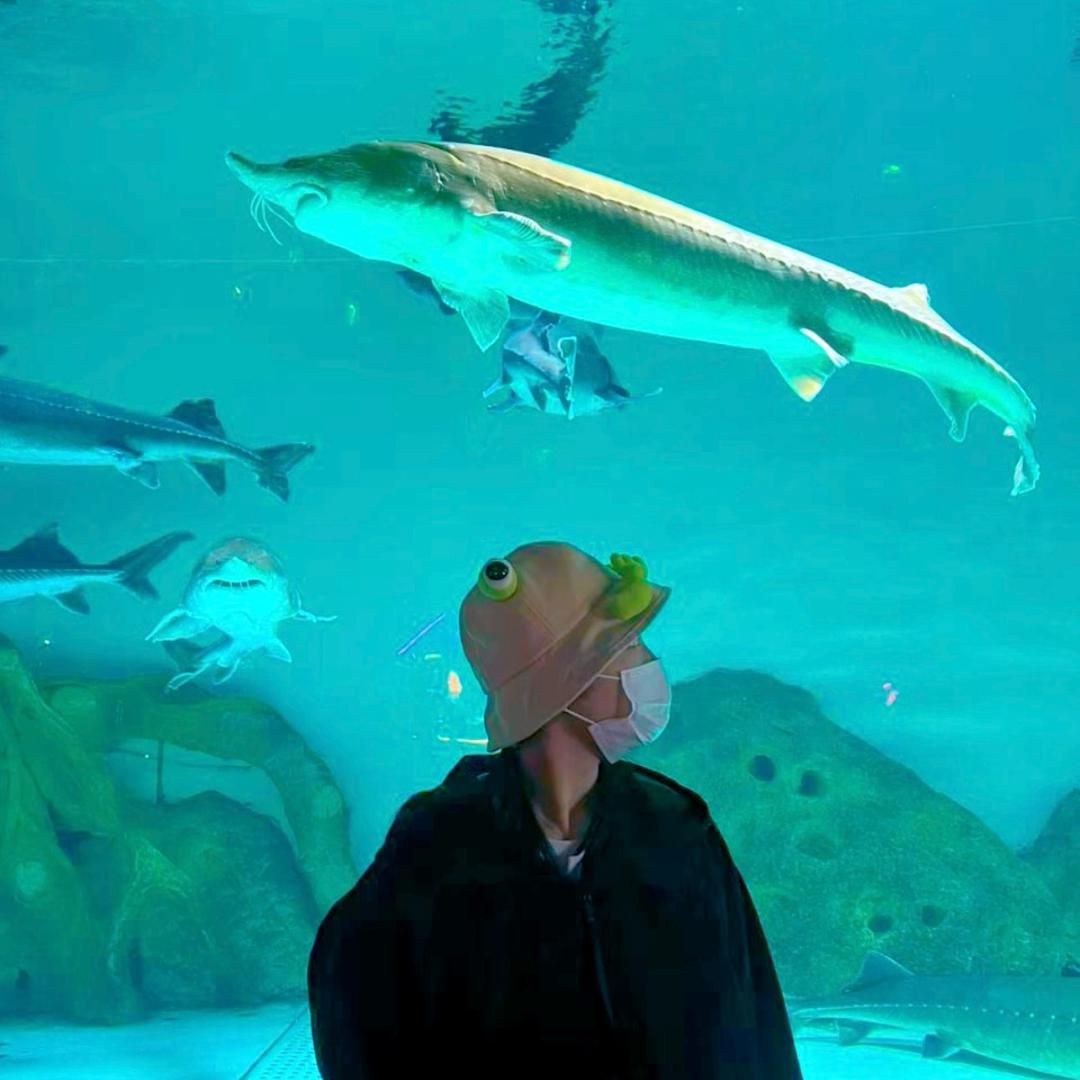 小万万要努力吖