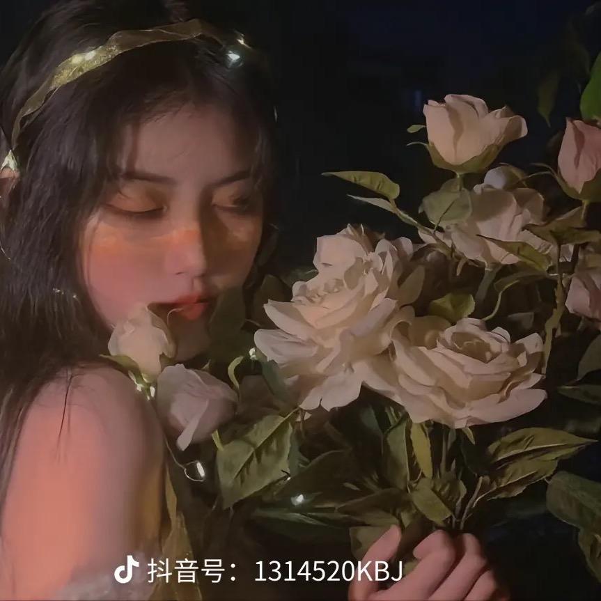 海棠花未眠.
