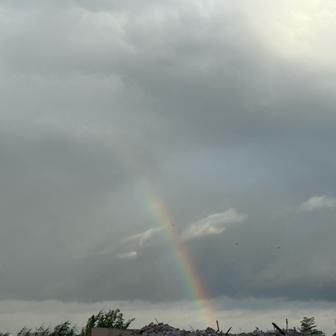 、请牵紧我的手🐮👋