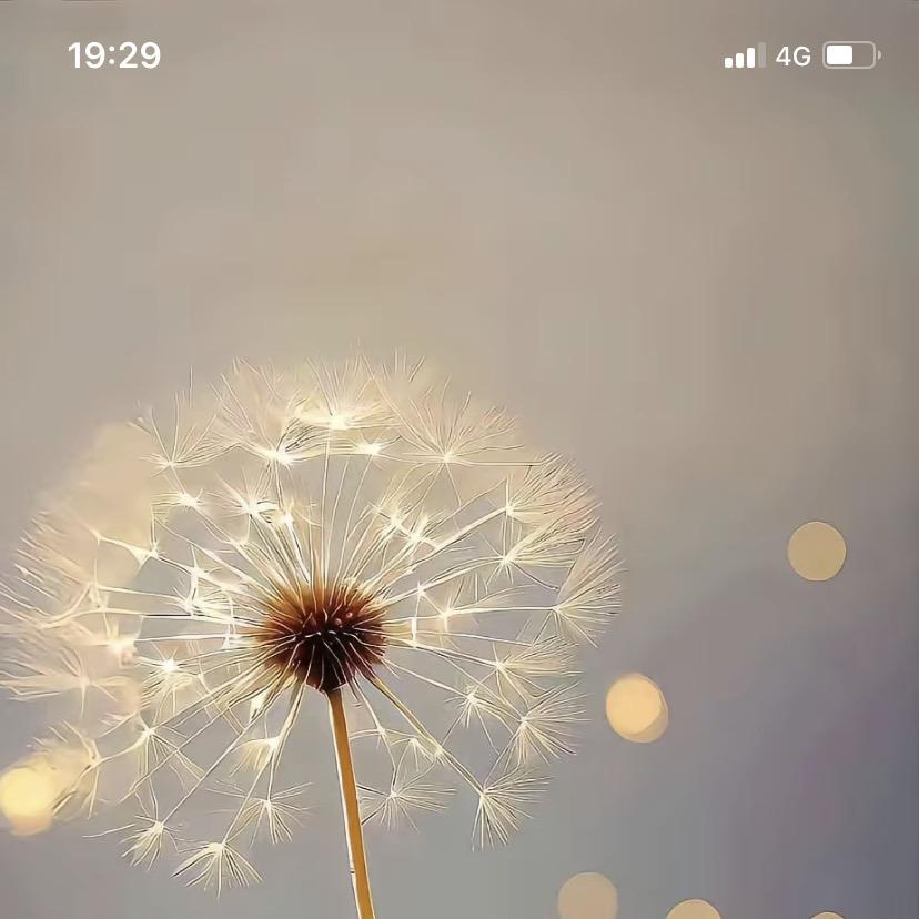 海中有波百货有限公司