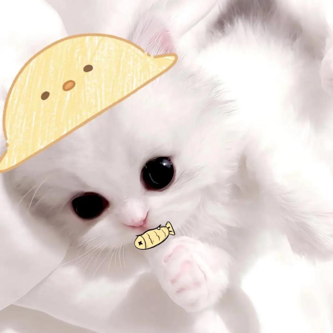 宝宝饼