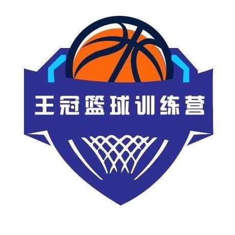 魏庄王冠篮球训练营