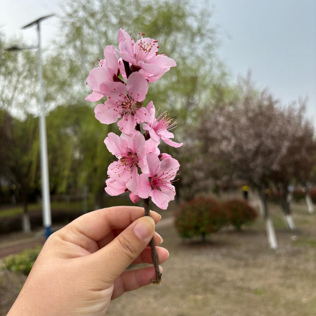 ∞/好运 ＜加倍 ～