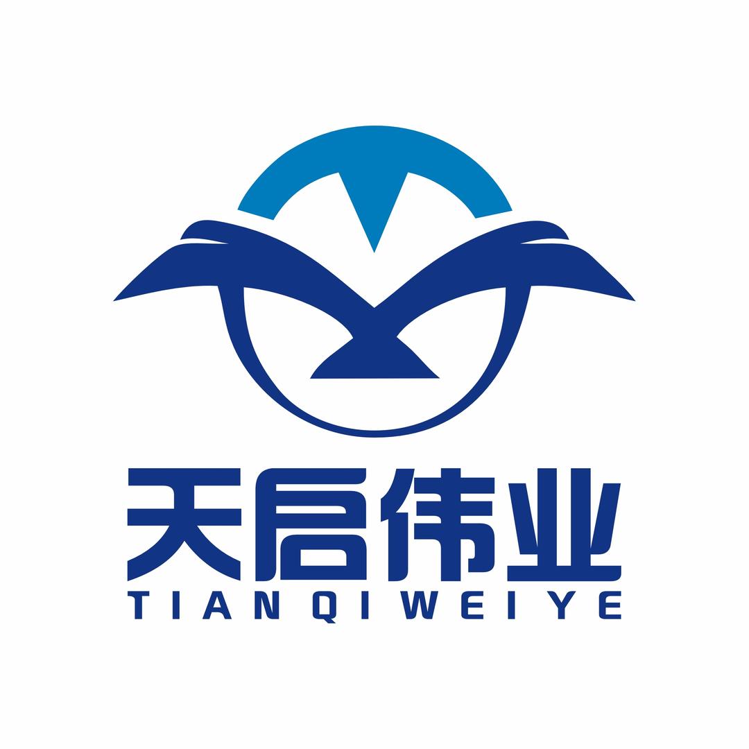北京天启