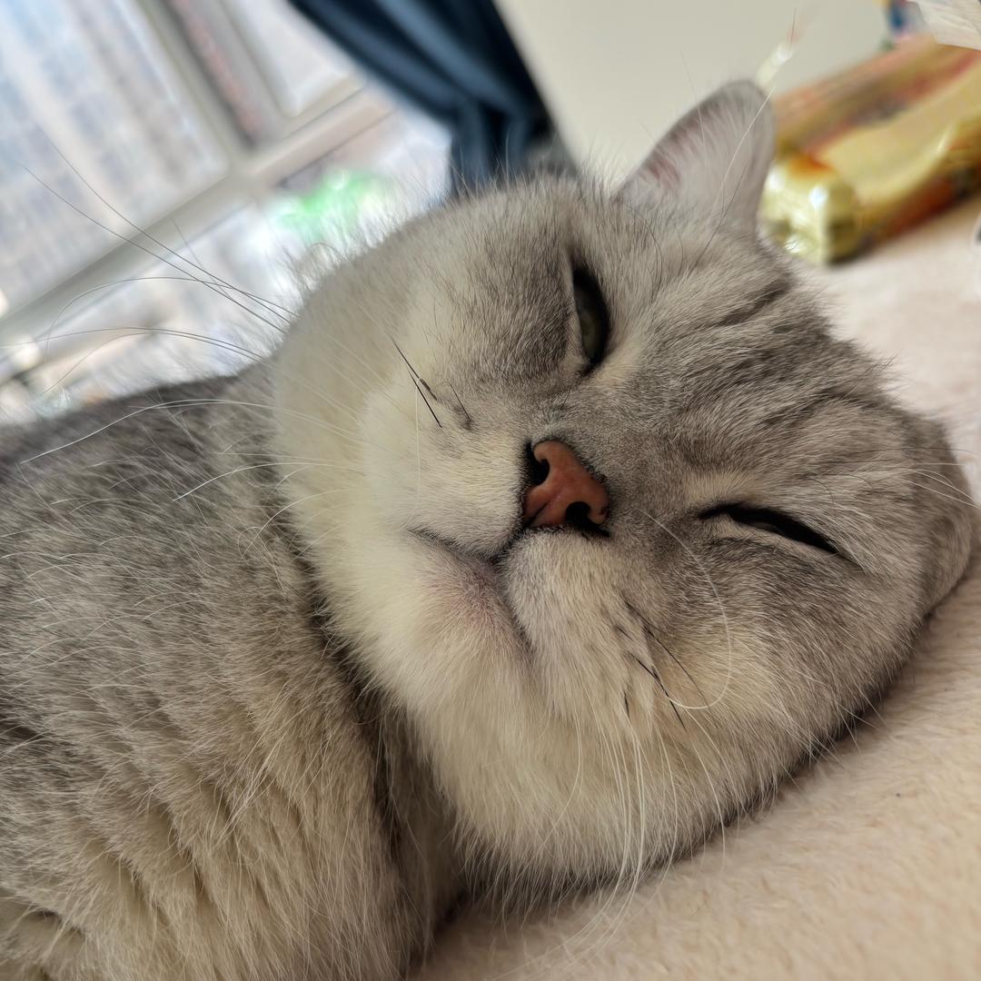 好大儿叫🌸🌸