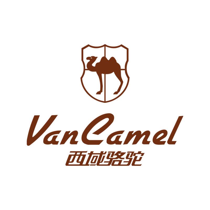 西域骆驼至辰鞋类专卖店好物甄选