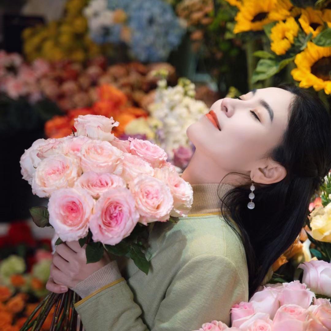 @杨帆🍵茶旅不凡