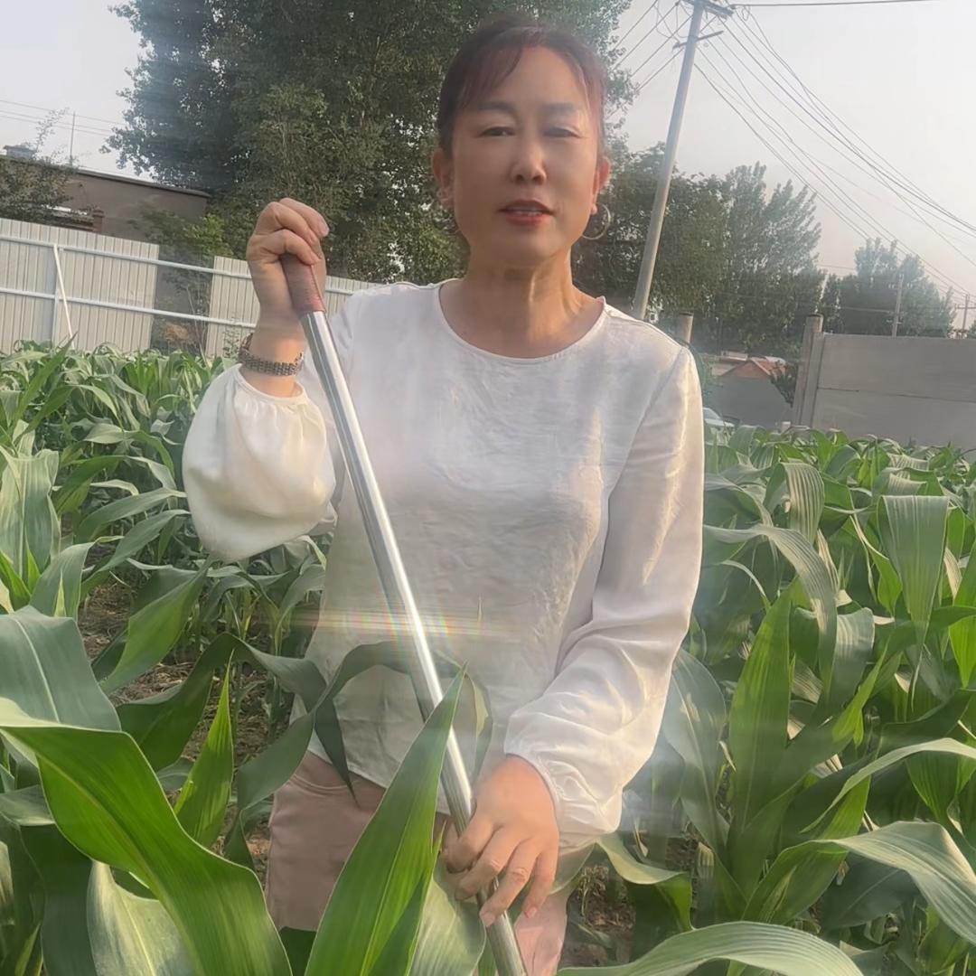 遐聚商贸，提姐