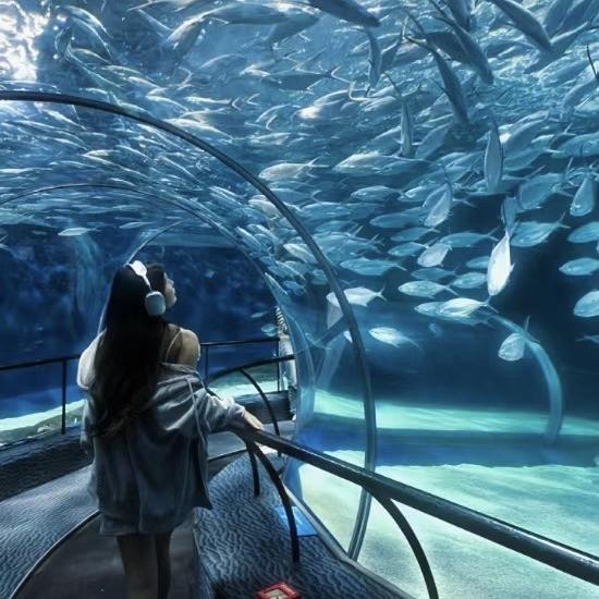 布鲁水族馆授权号