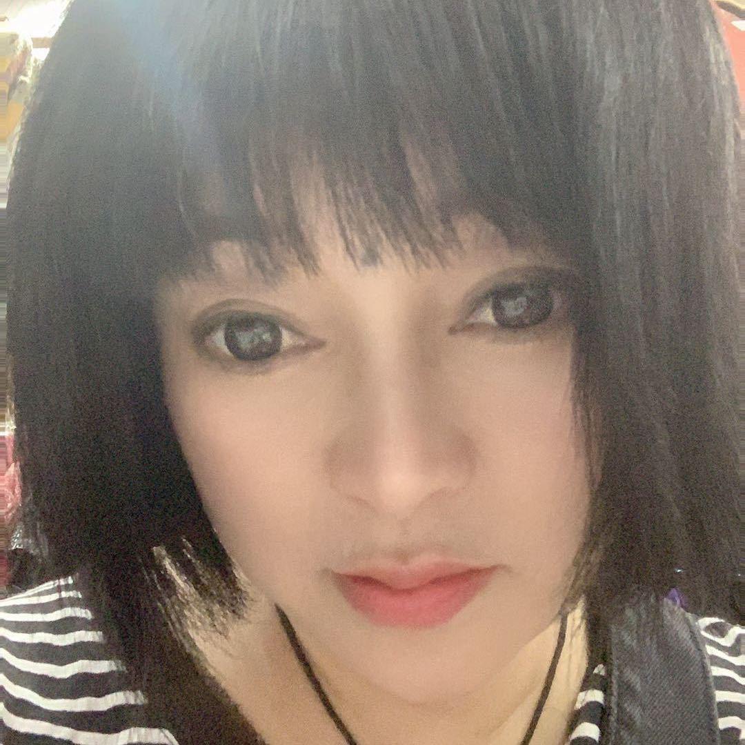 红梅飞舞