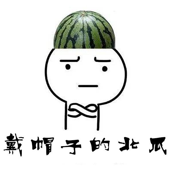 变身北瓜玩游戏