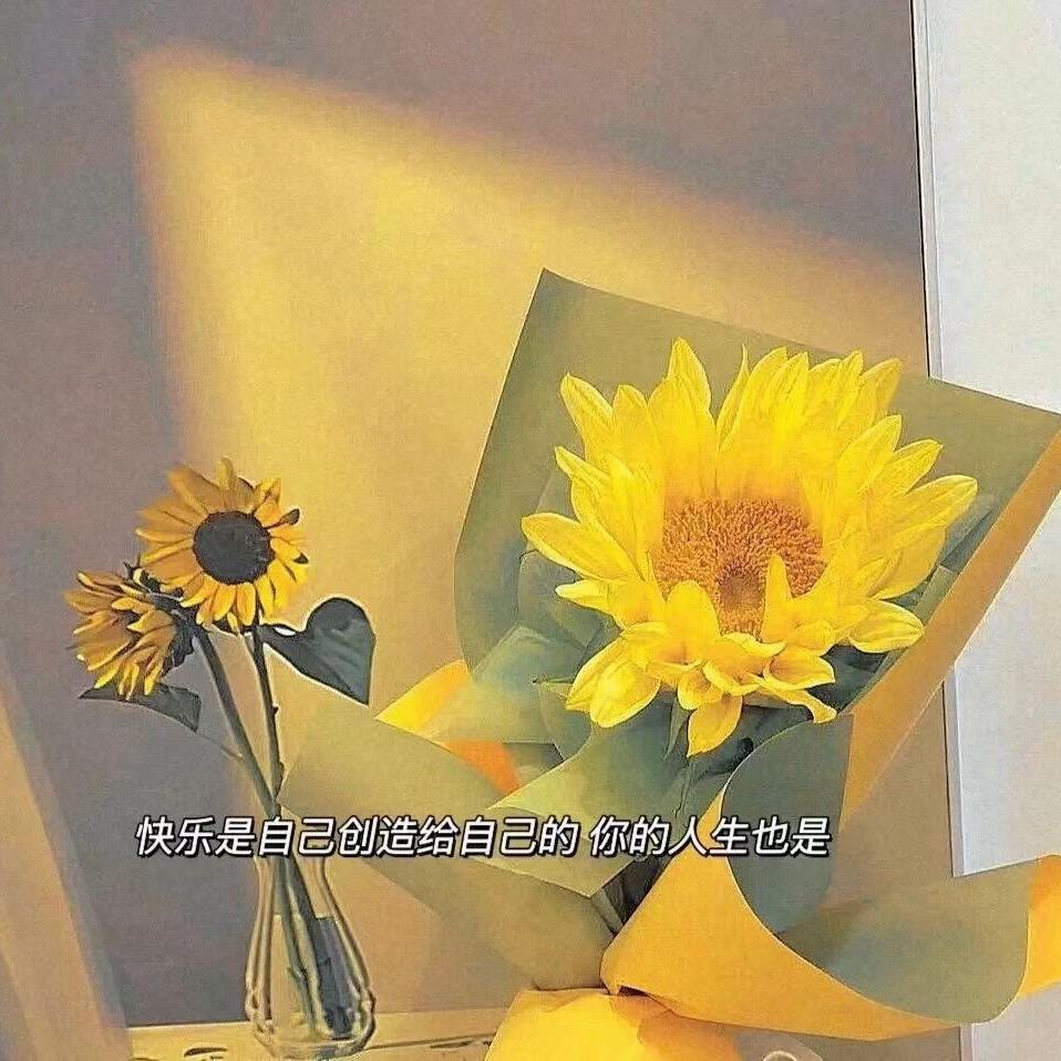 圆 富❤️