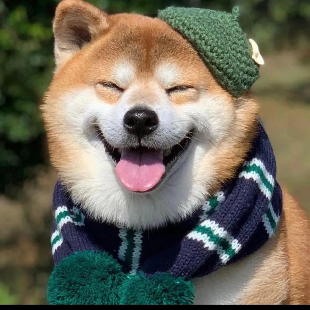 🌹🌹