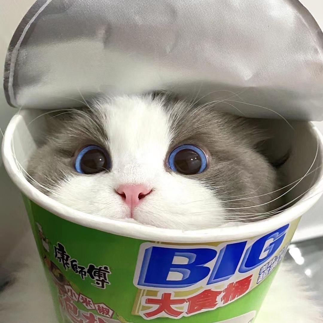 Jayli江篱