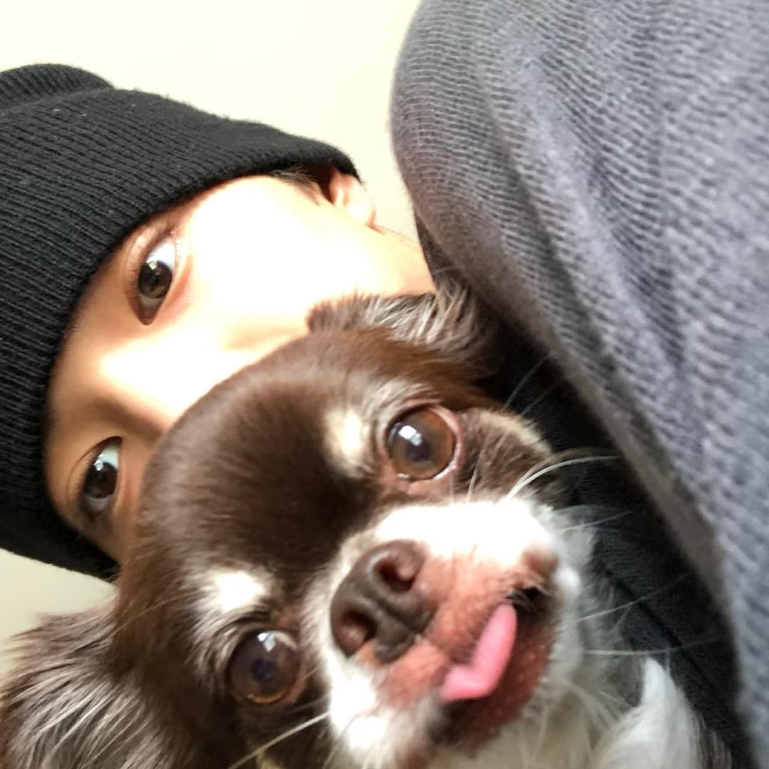 鱼皮