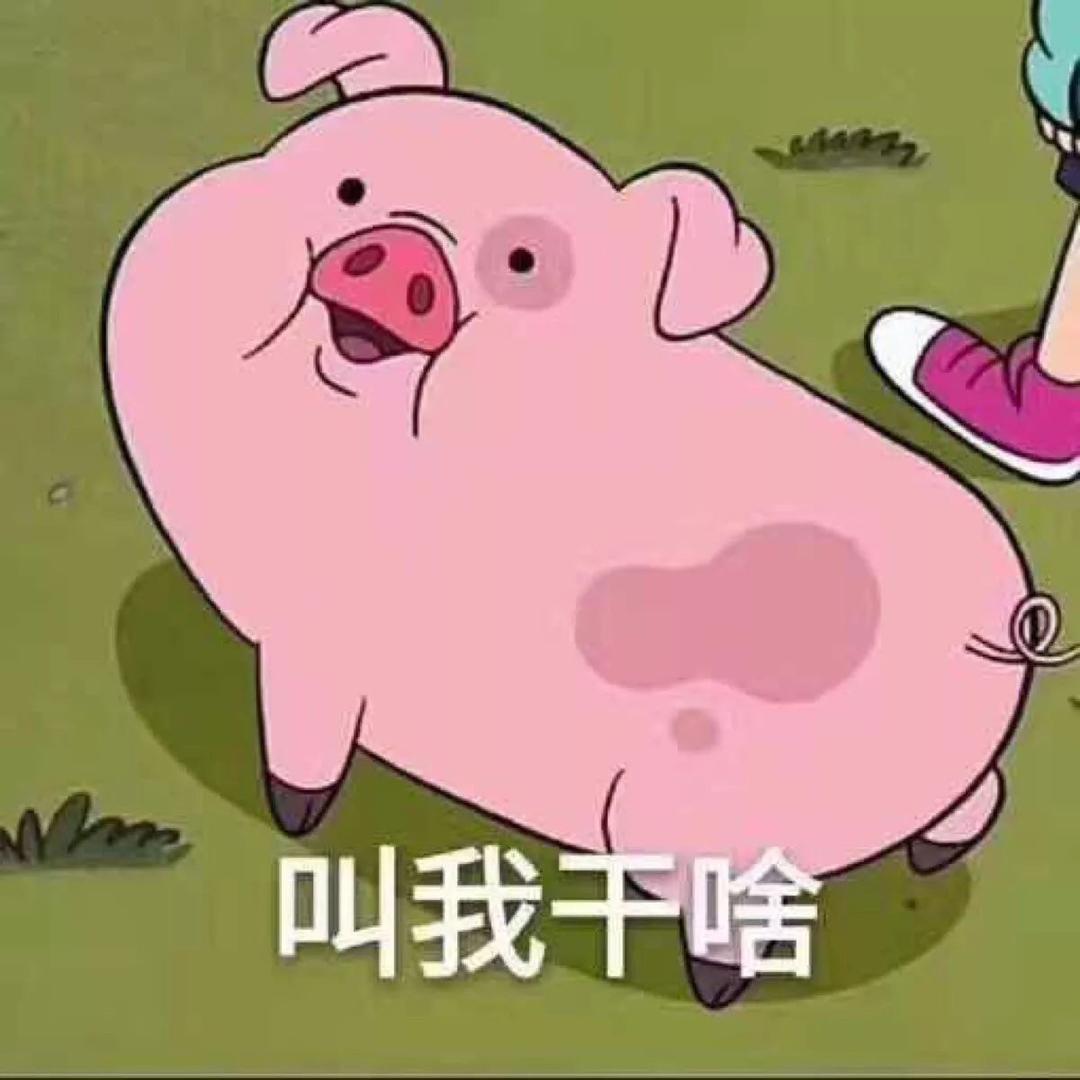 🐷🐷🐷