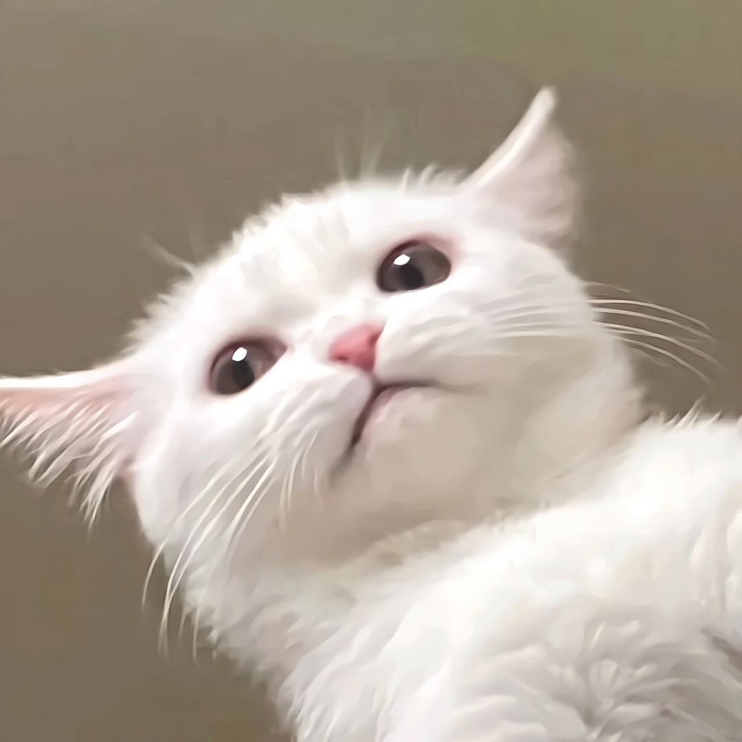 不如不见面.