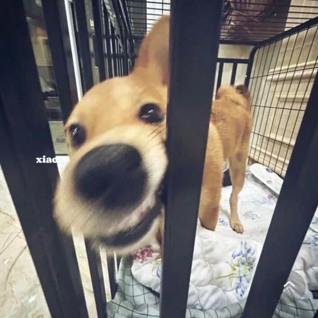 有点u伤.