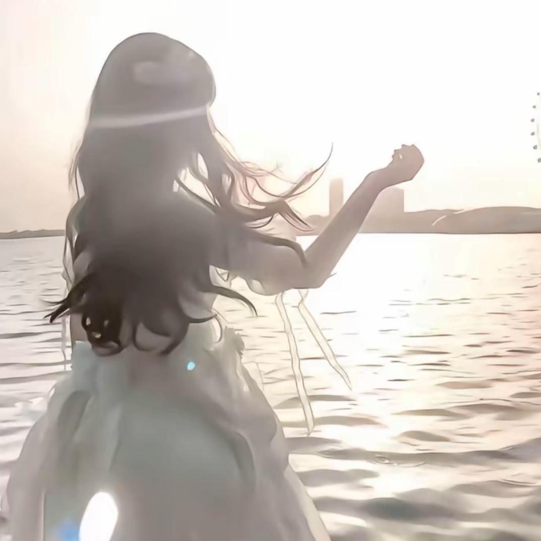 大埔港香烧鸭店