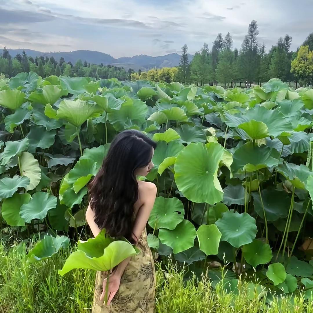 林子.