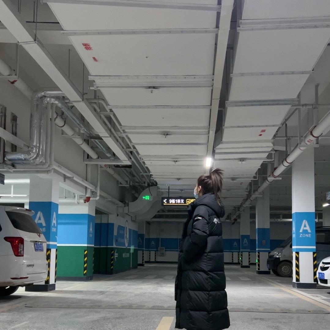 羽毛🪶齐梦