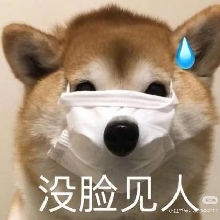 目瞪狗呆🐶